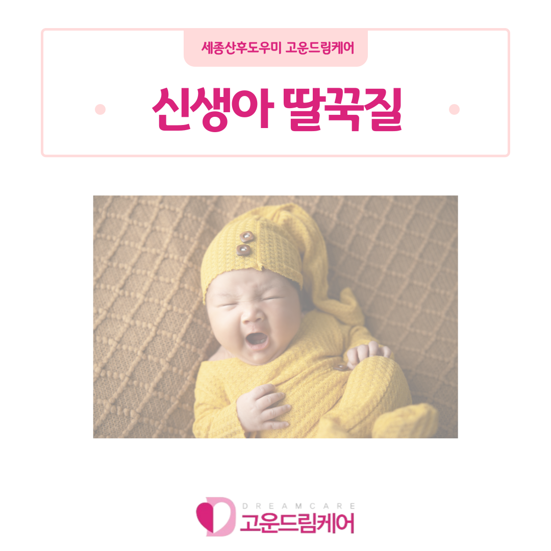 3068471123_73rIJAm6_87136722df21176805c0f42557bdc88e6babdccb.png 이미지크게보기