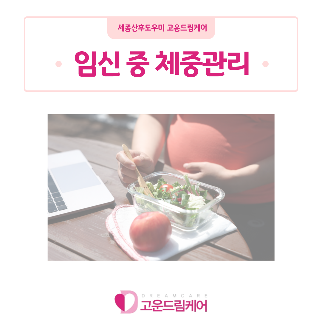 /user/d/dreamcaresj/editor/2601/213d70b7381283c4d3f35dd5b5bbd7f0_1768361806_8158.png 이미지크게보기